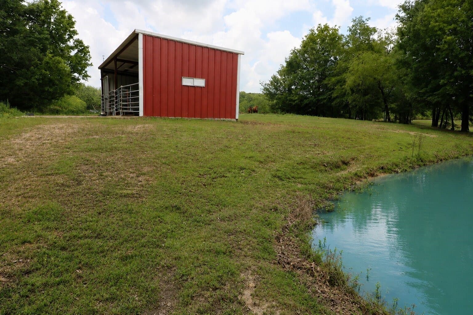 19.36 acres in Lamar County gallery image 4