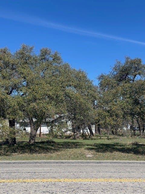 10 acres in Gillespie County - photo 7