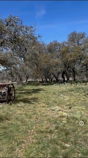 10 acres in Gillespie County gallery image 4