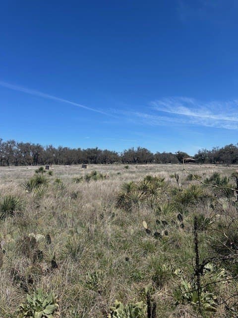 10 acres in Gillespie County - photo 6