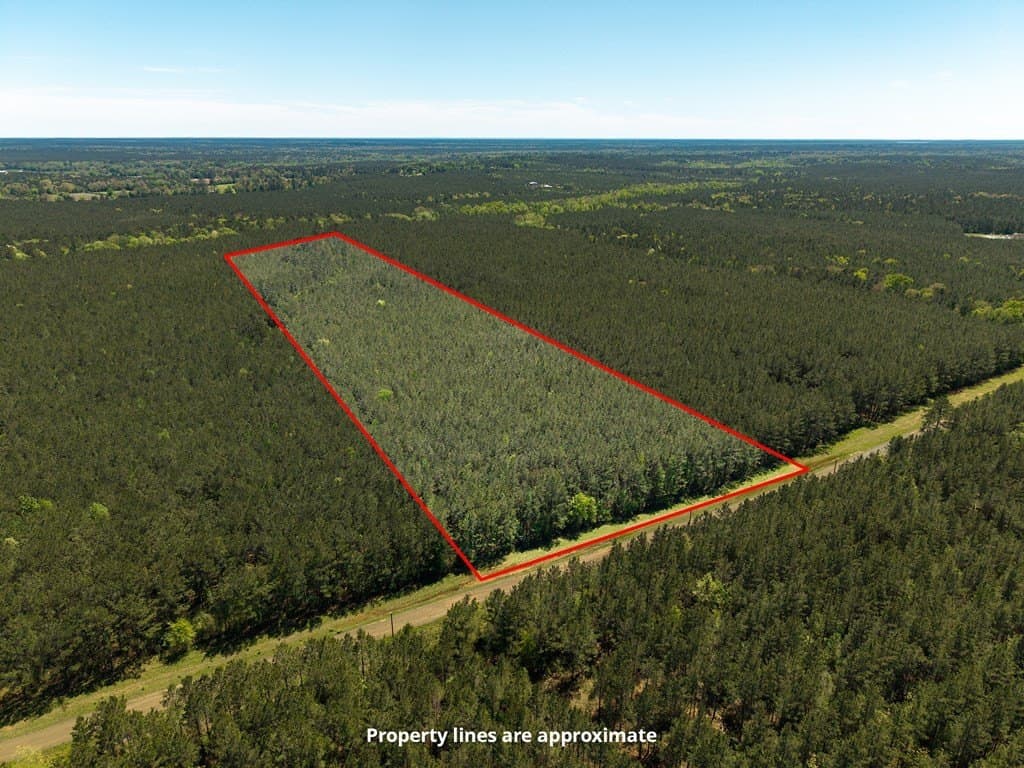 17 acres in Texas County gallery image 2