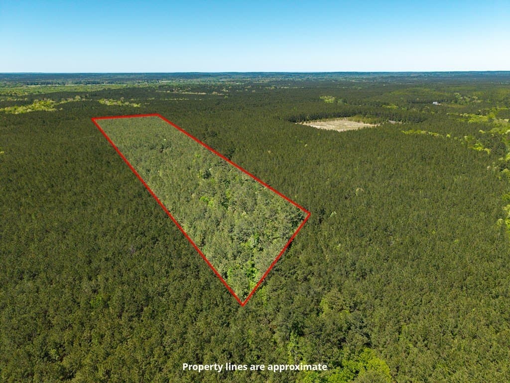 17 acres in Texas County gallery image 4