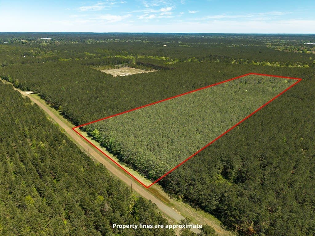 17 acres in Texas County gallery image 3