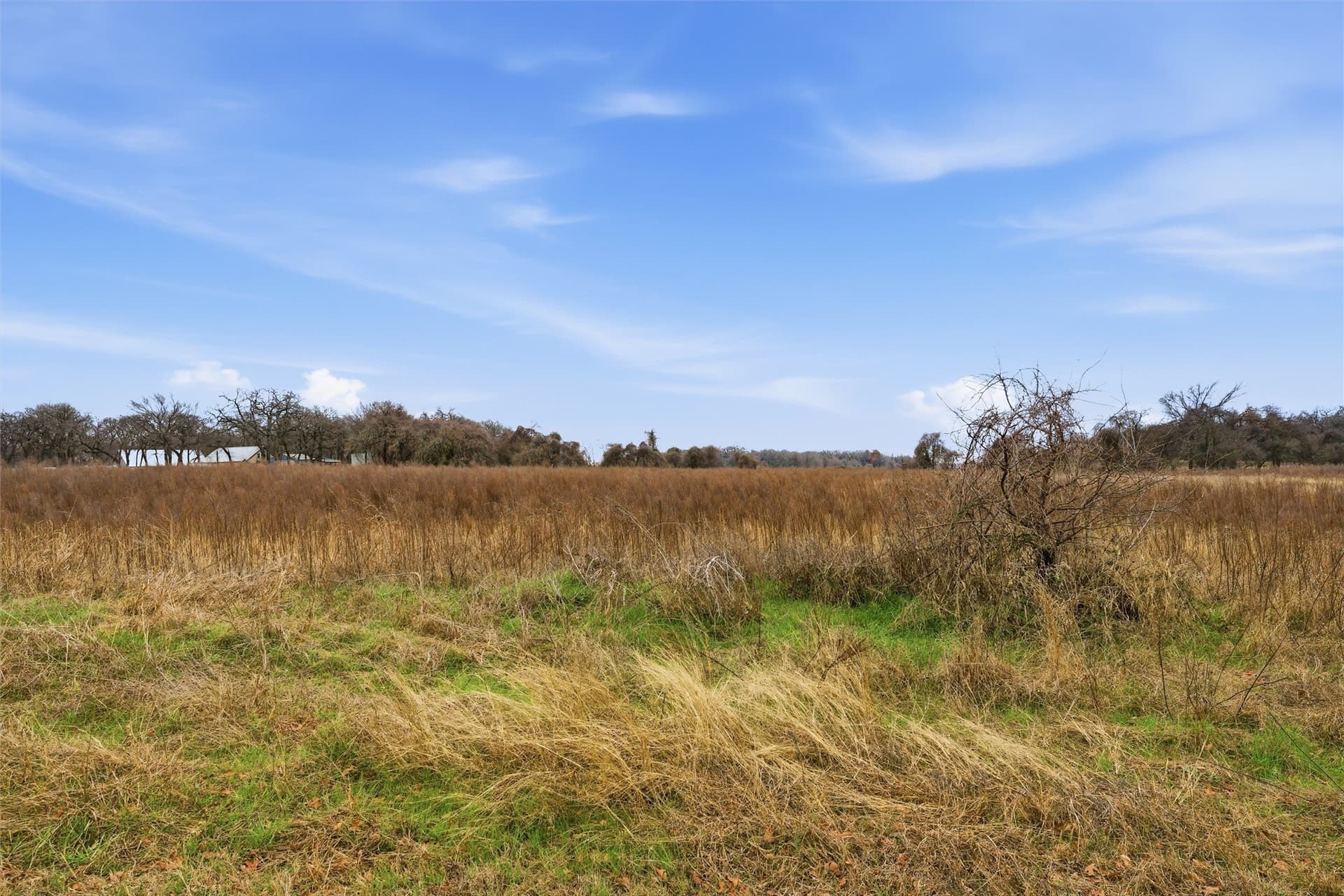 1 acres in McLennan County - photo 5