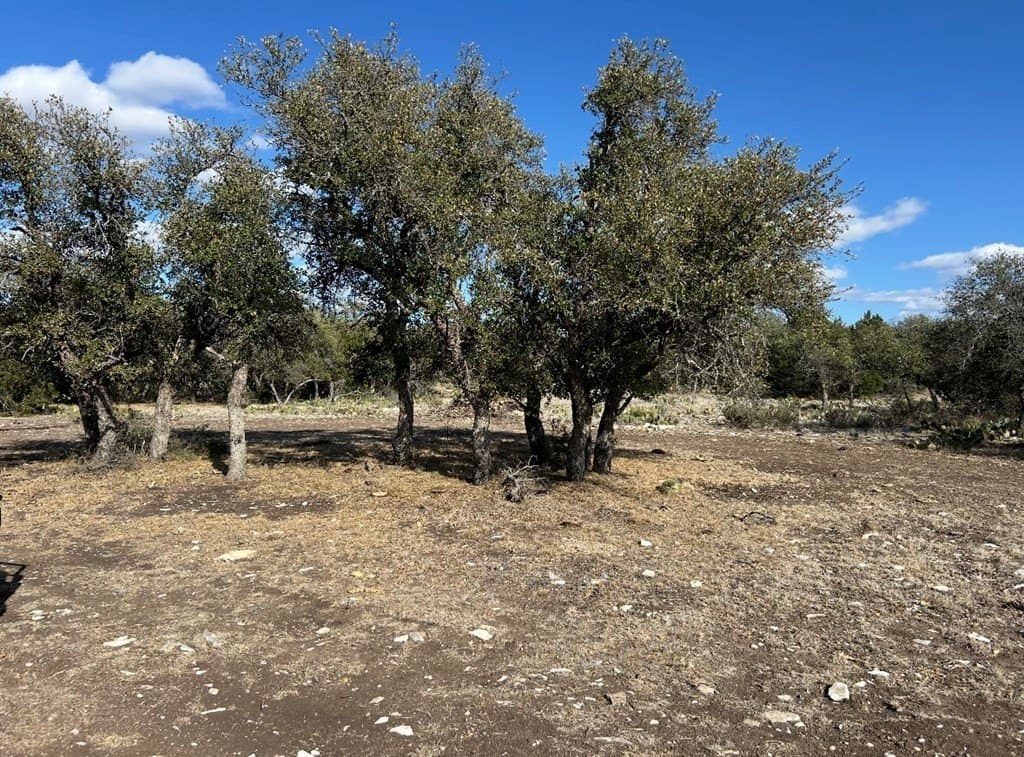 25.81 acres in Schleicher County gallery image 2