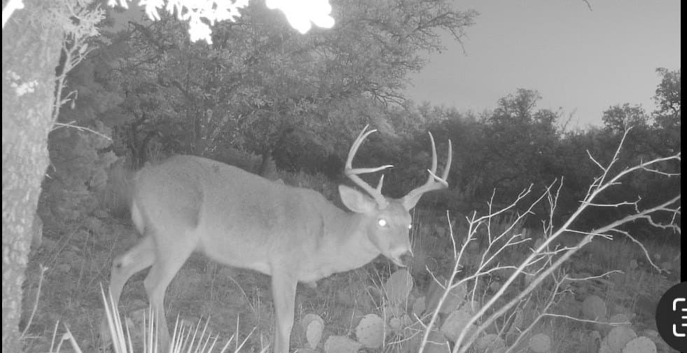 25.81 acres in Schleicher County featured view