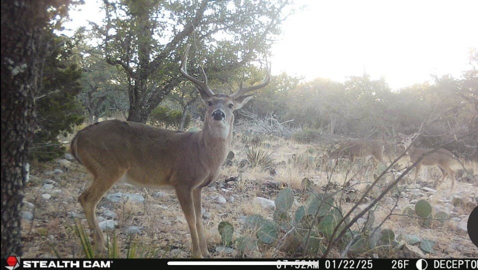 25.81 acres in Schleicher County gallery image 4