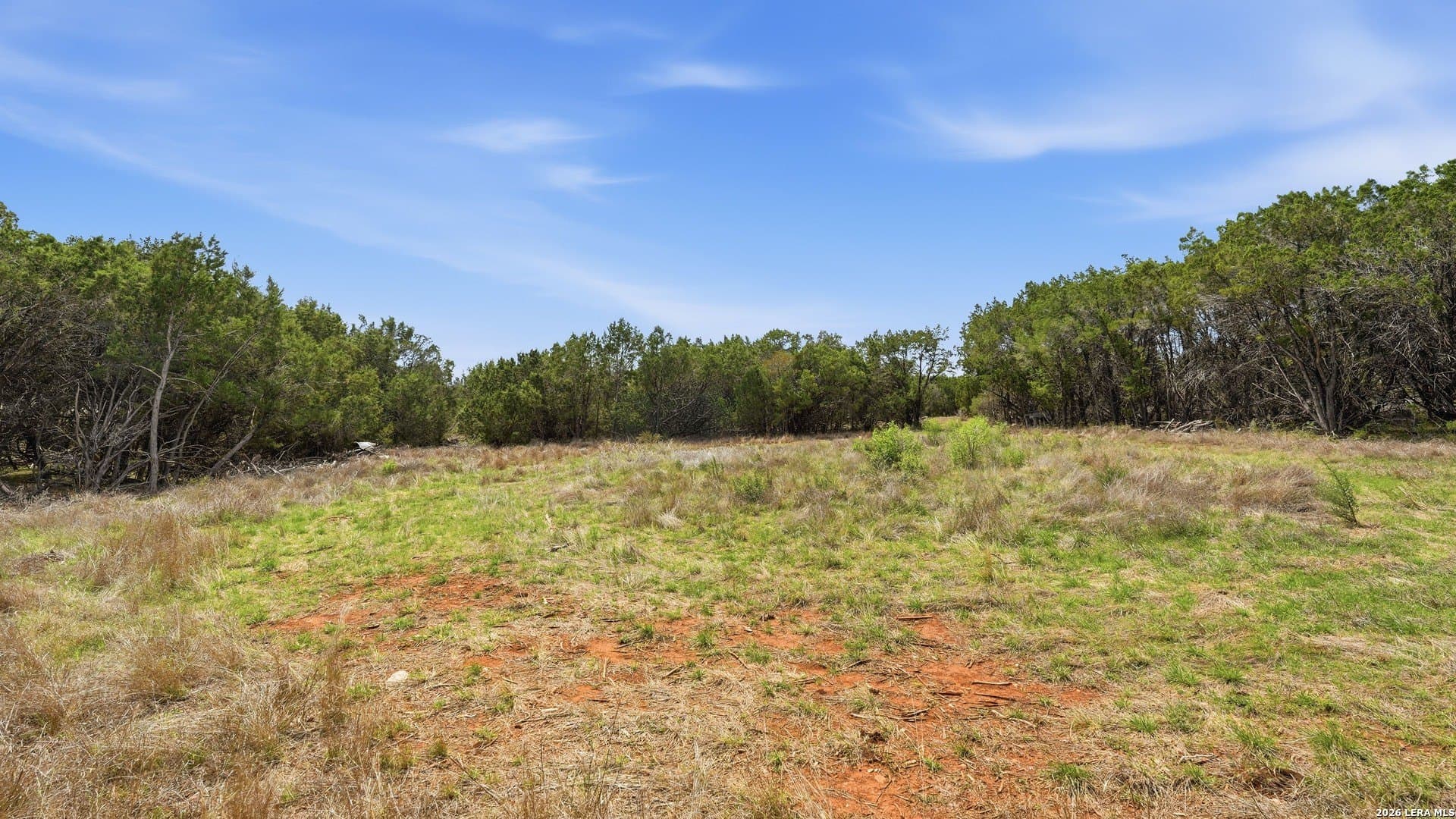 1.49 acres in Comal County gallery image 3