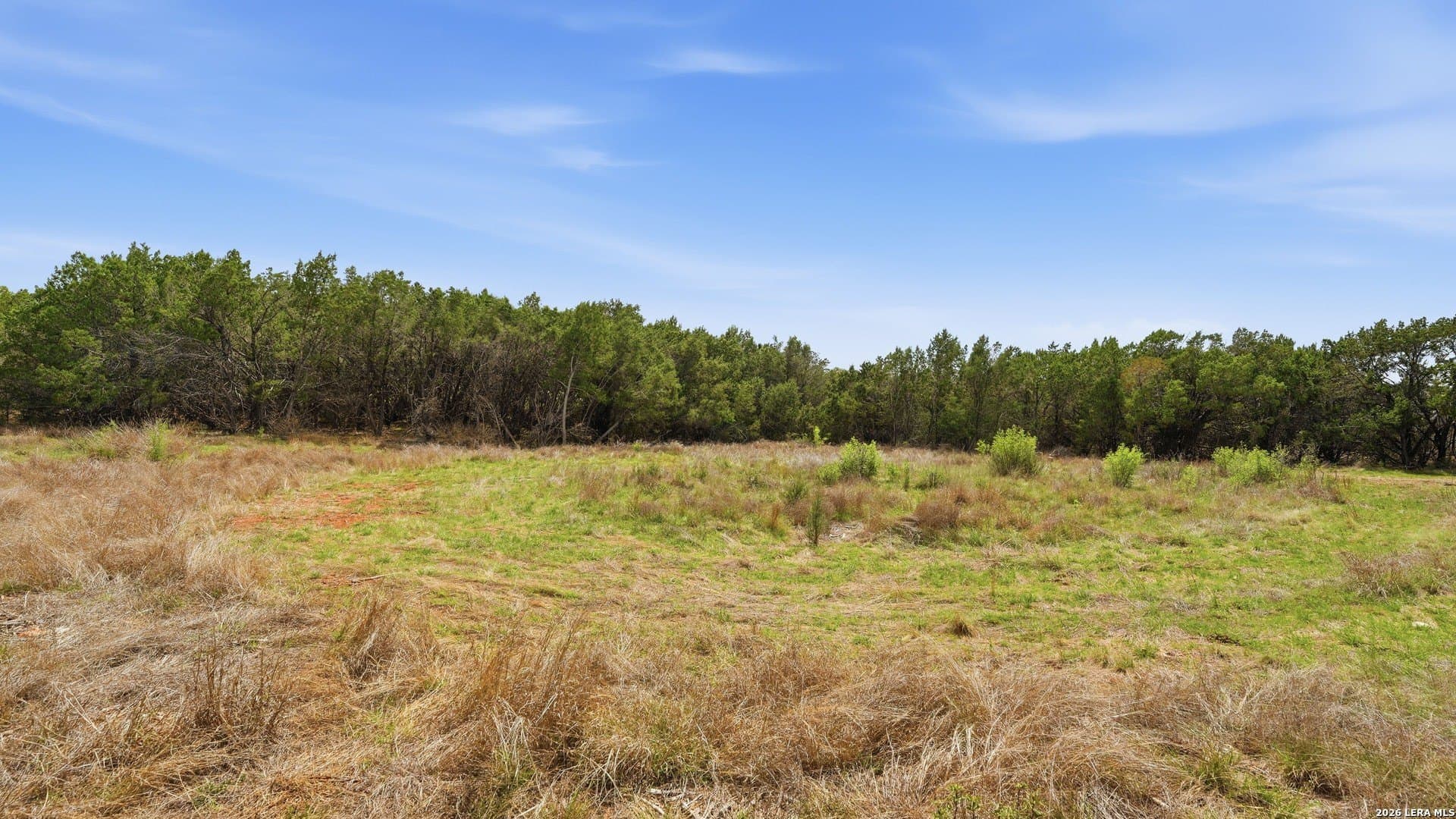 1.49 acres in Comal County gallery image 4