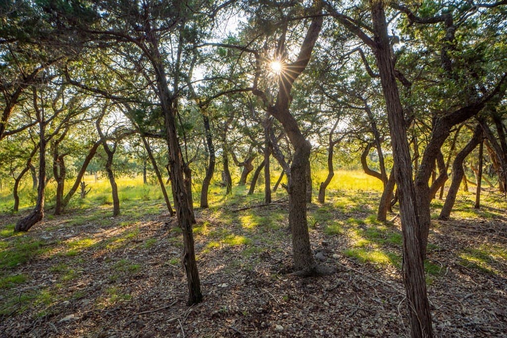 15.02 acres in Kerr County gallery image 3