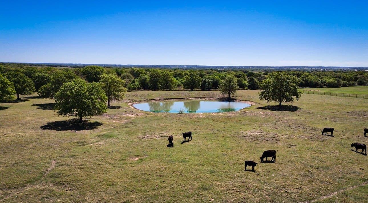 32.04 acres in Palo Pinto County gallery image 2