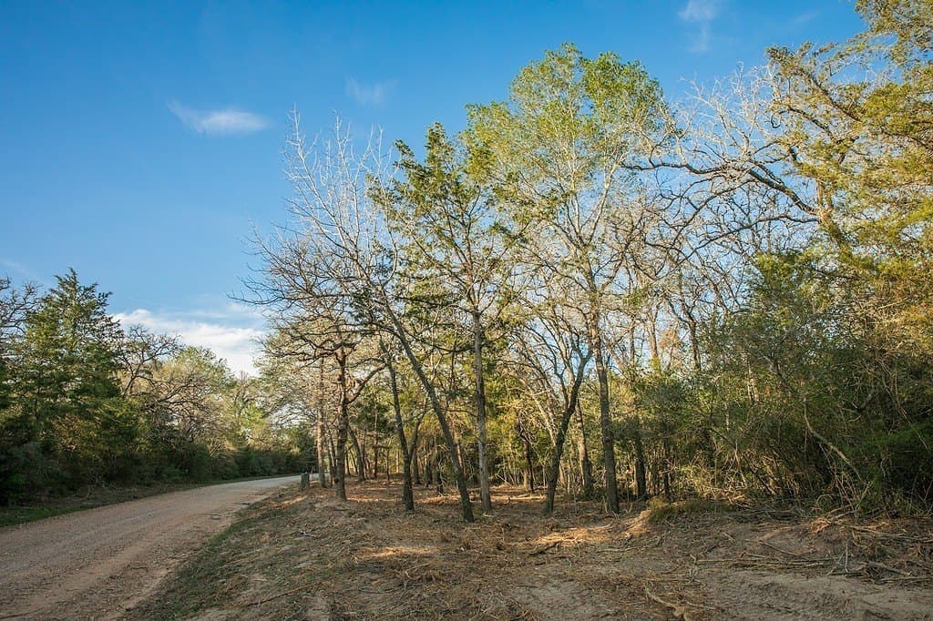 3.5 acres in Austin County