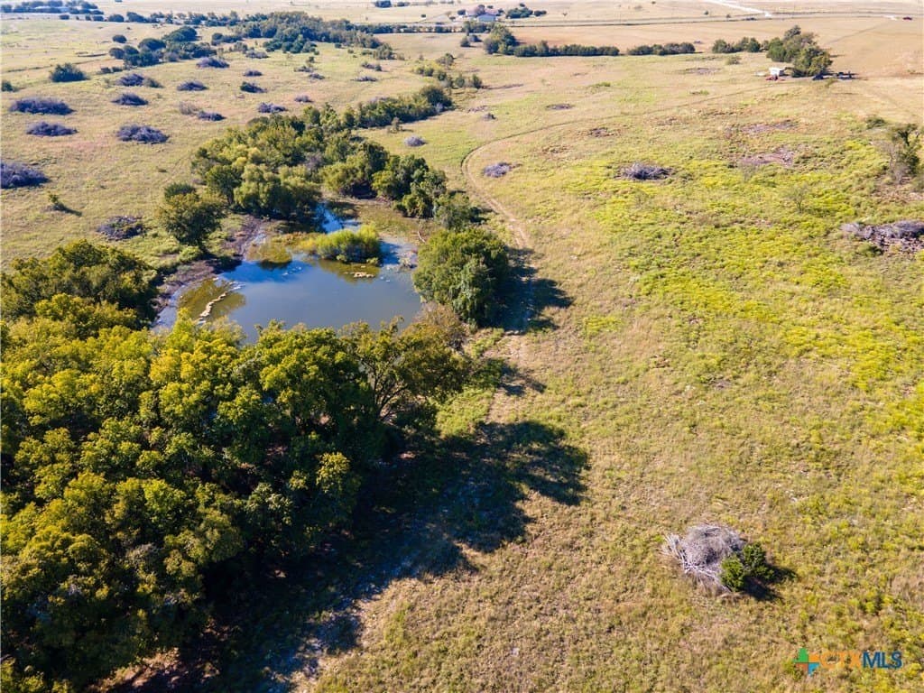 133.33 acres in Coryell County gallery image 3