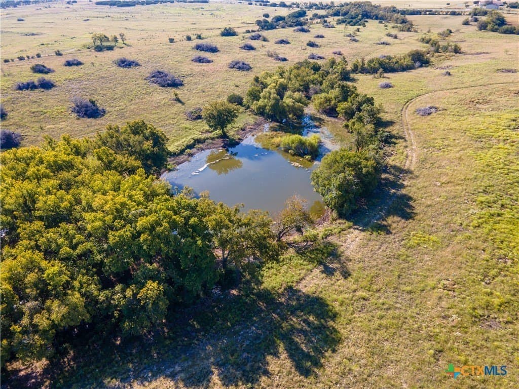 133.33 acres in Coryell County gallery image 4