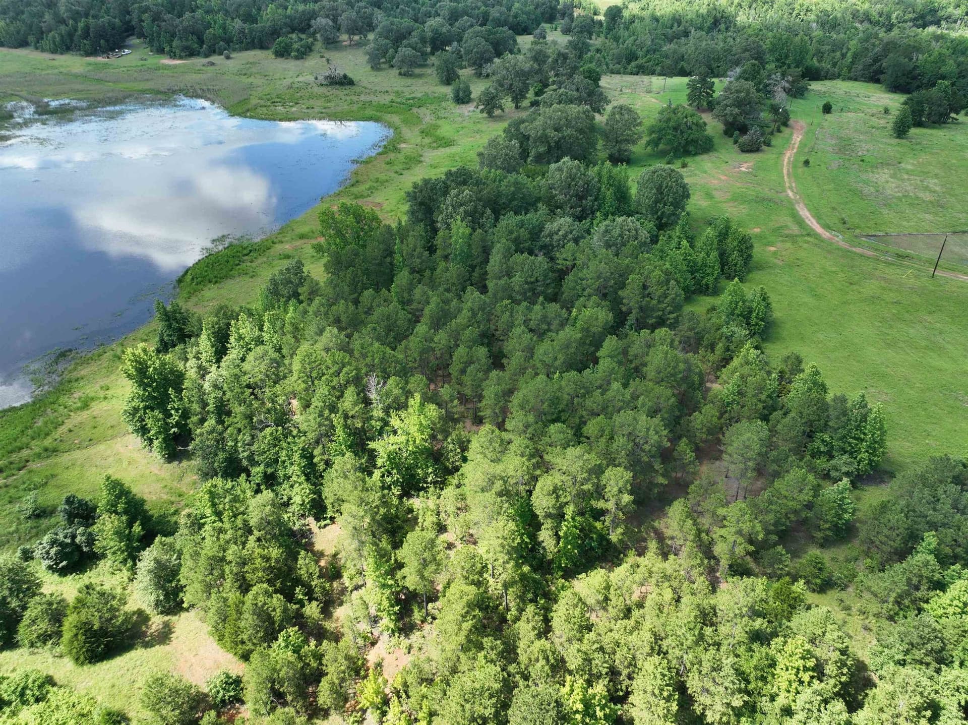 0.43 acres in Wood County - photo 9