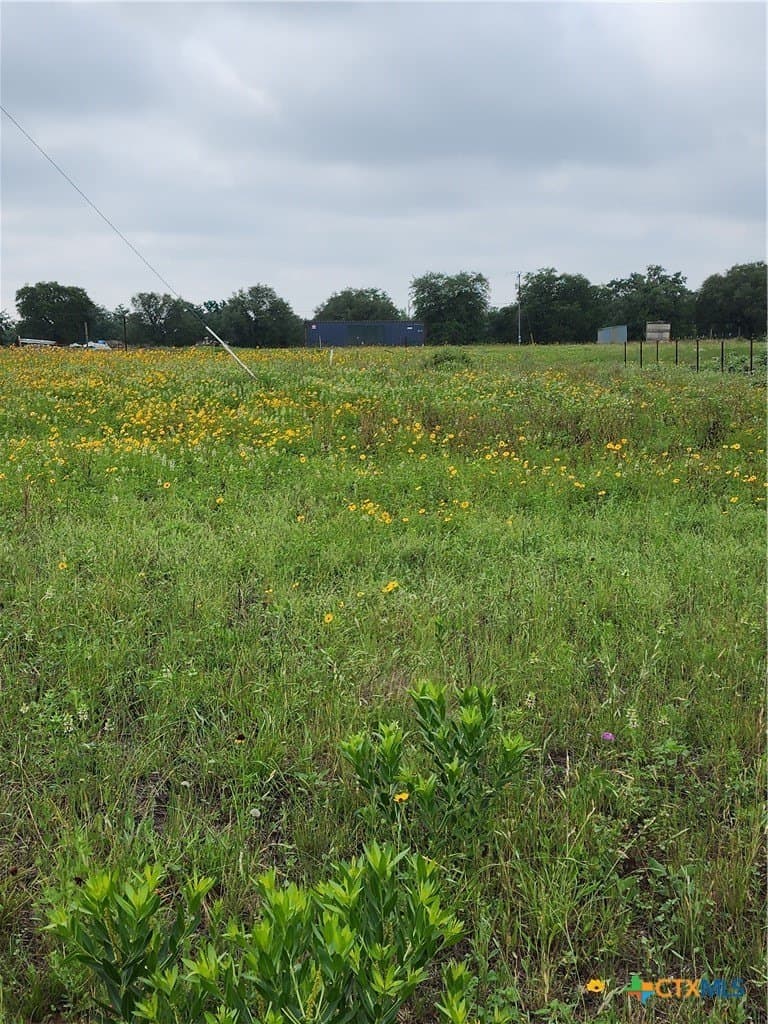 5 acres in Wilson County gallery image 3