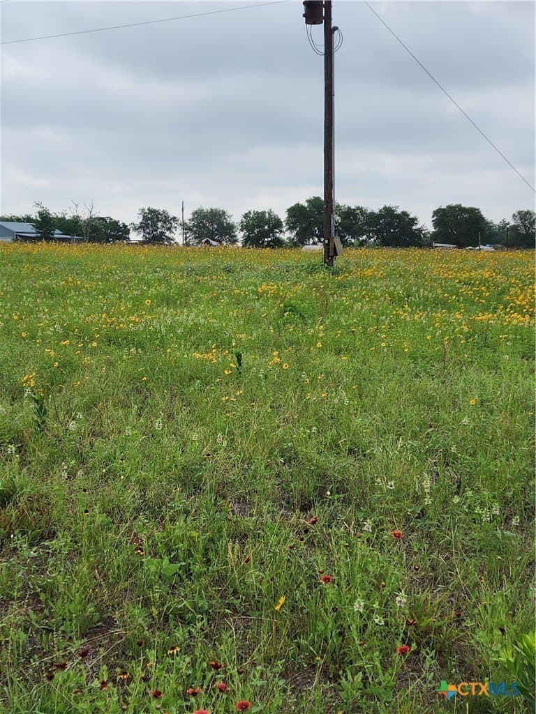 5 acres in Wilson County - photo 6