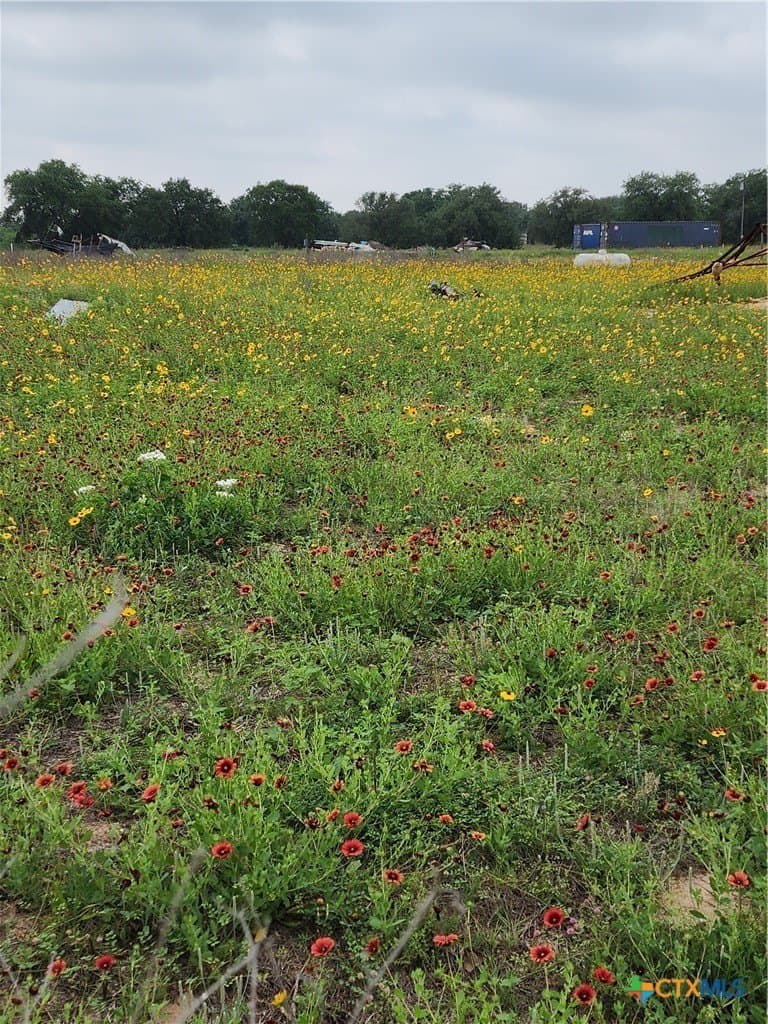 5 acres in Wilson County gallery image 2