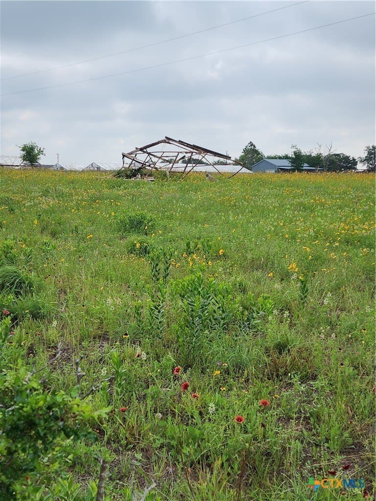5 acres in Wilson County featured view