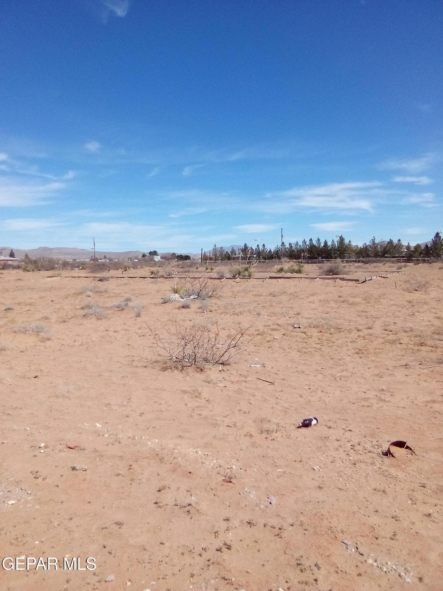 2.2 acres in El Paso County - photo 15
