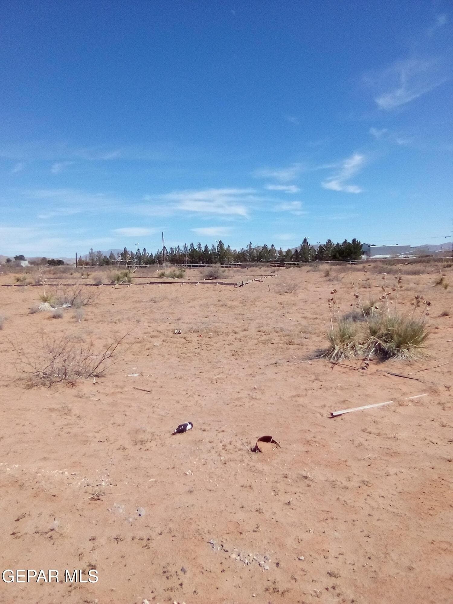 2.2 acres in El Paso County - photo 16