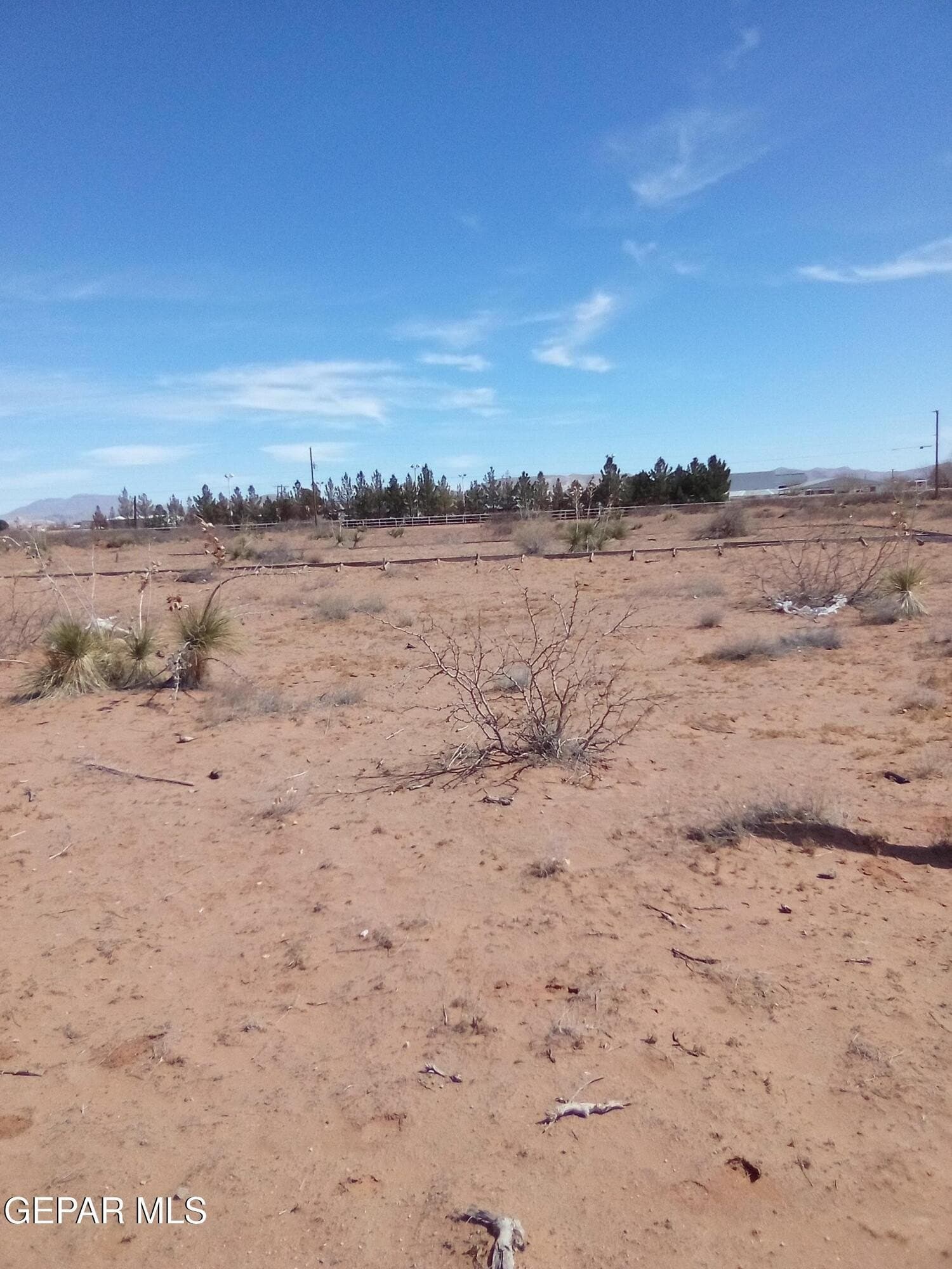 2.2 acres in El Paso County - photo 8