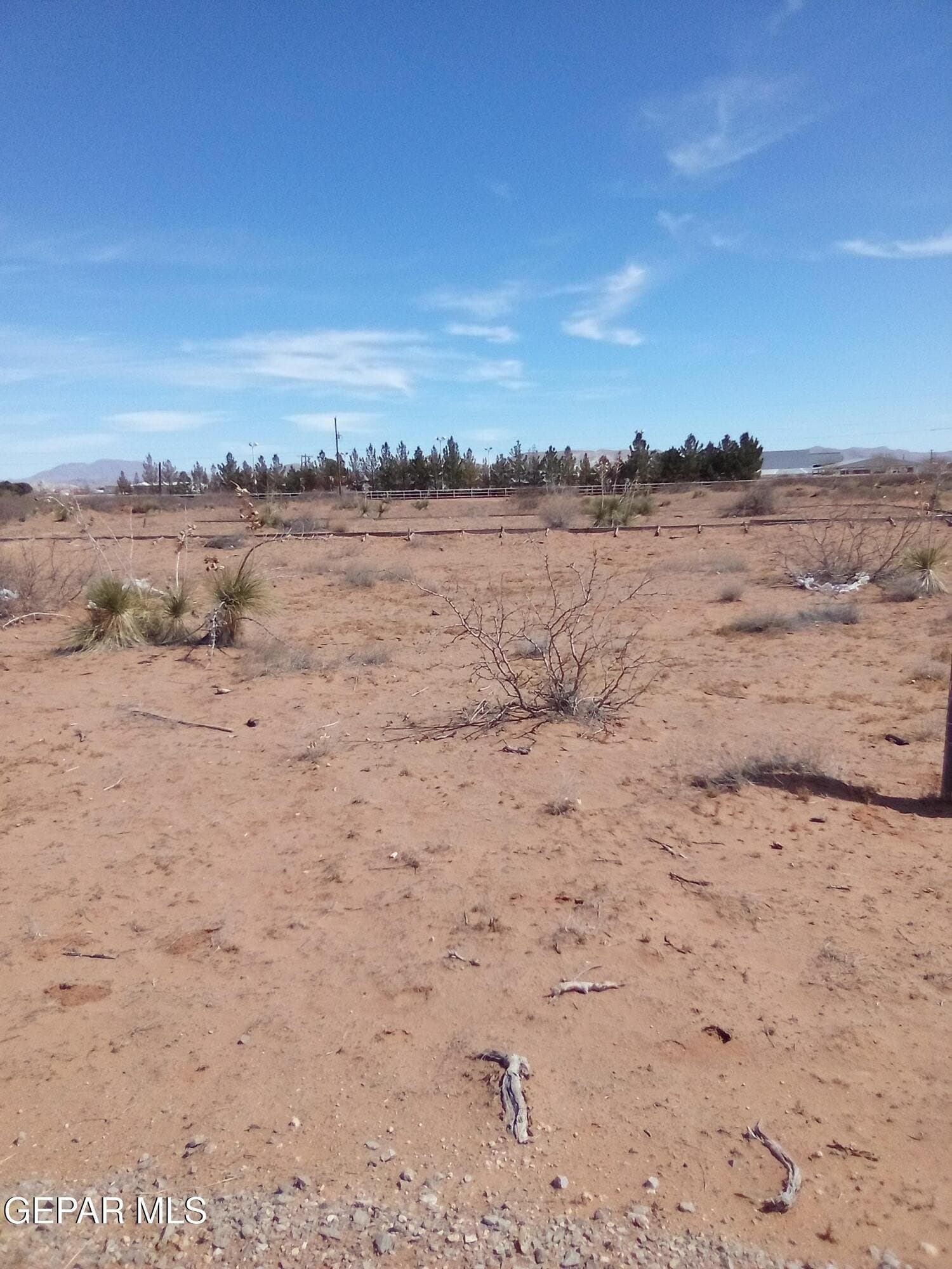2.2 acres in El Paso County - photo 9