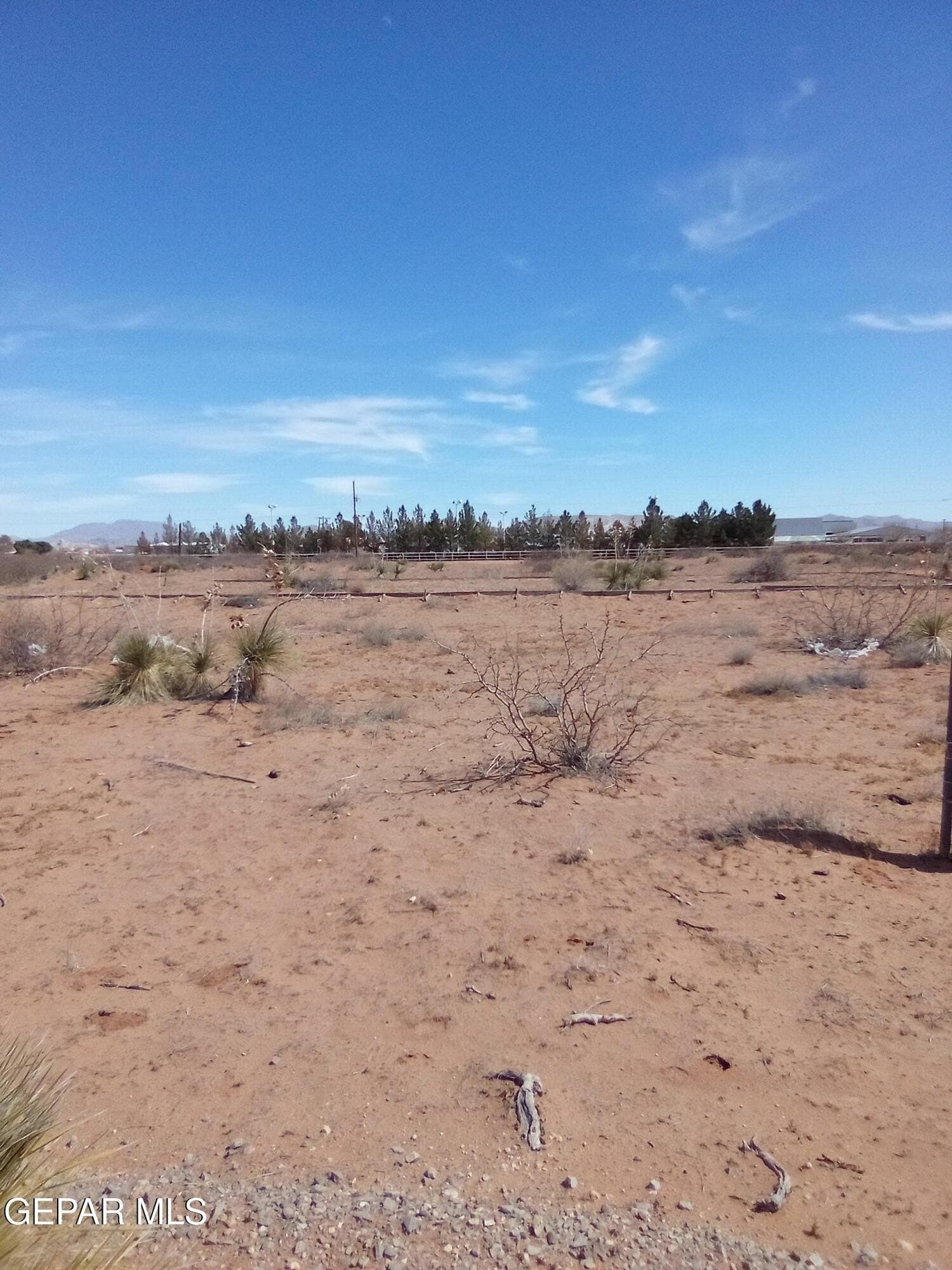 2.2 acres in El Paso County - photo 13