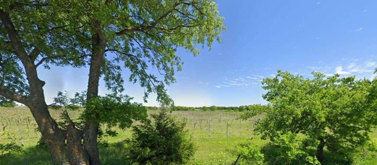 183 acres in Denton County gallery image 3
