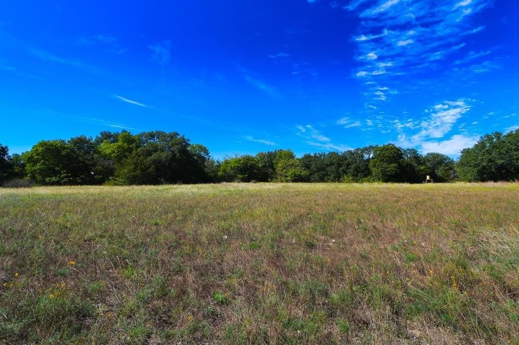 150 acres in Wise County gallery image 3