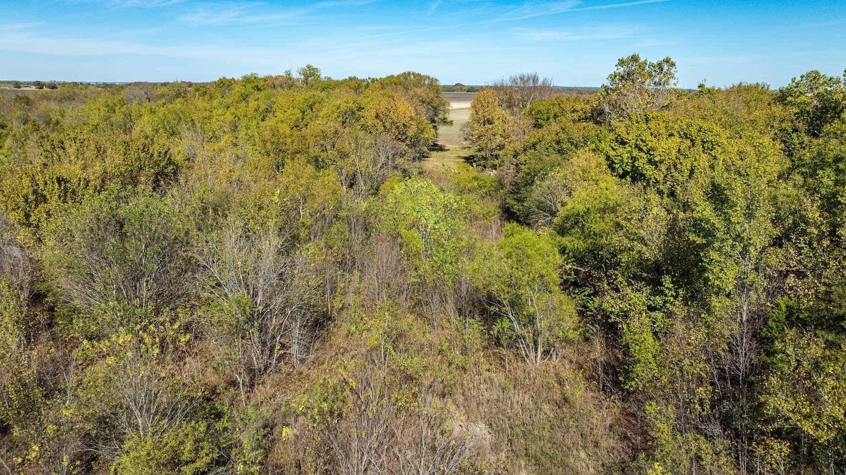 2.99 acres in Ellis County - photo 3