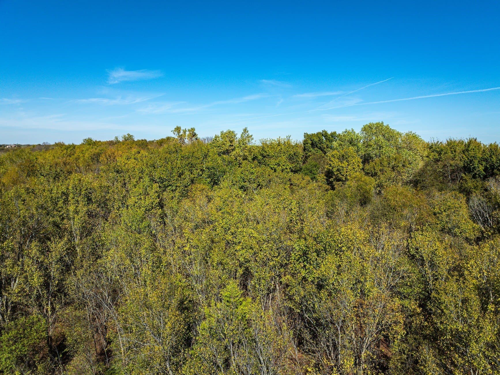 2.99 acres in Ellis County - photo 5