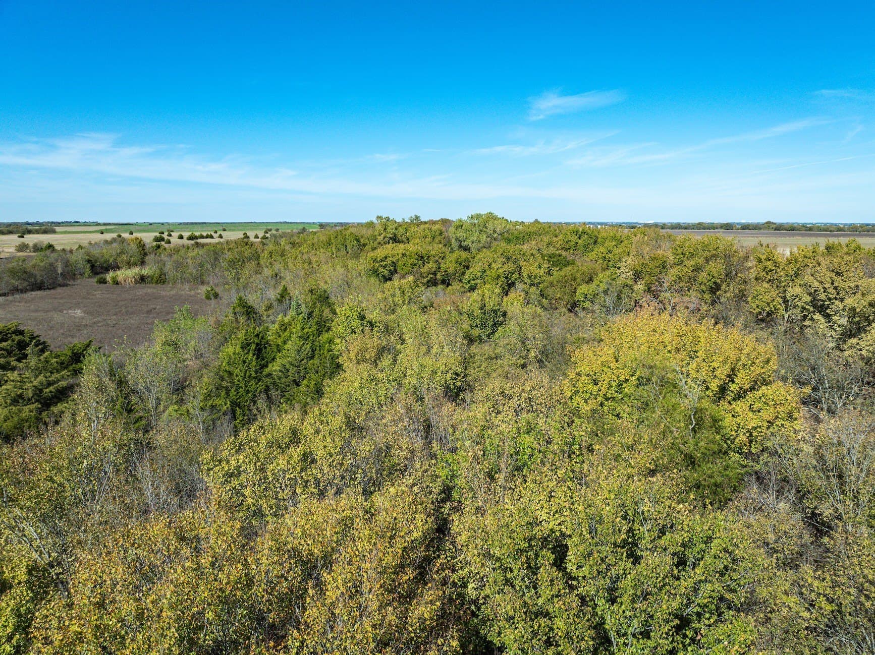 2.99 acres in Ellis County - photo 7