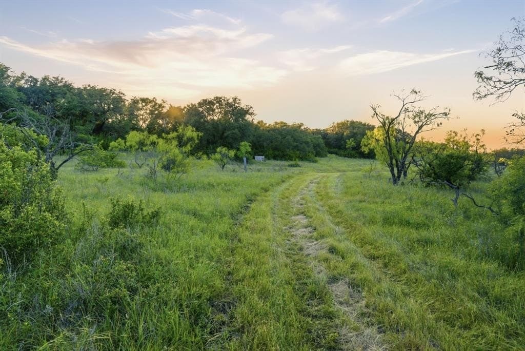 169.48 acres in Coleman County gallery image 3