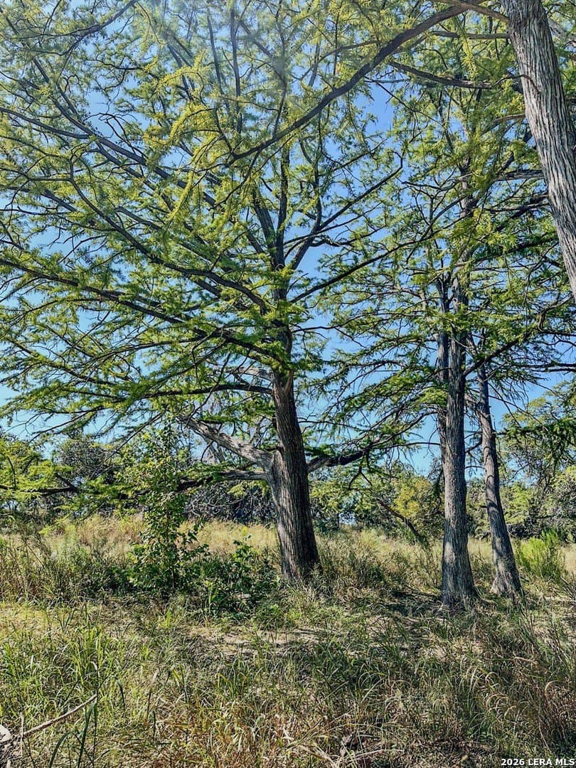 63.66 acres in Blanco County - photo 14