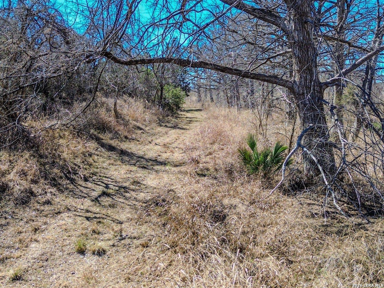 63.66 acres in Blanco County - photo 11