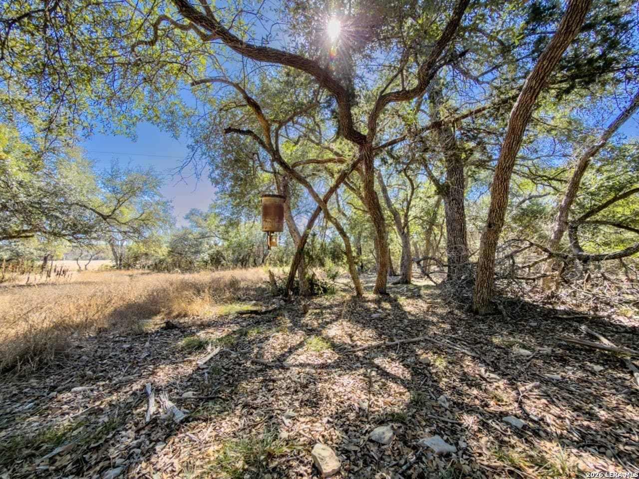 63.66 acres in Blanco County gallery image 4