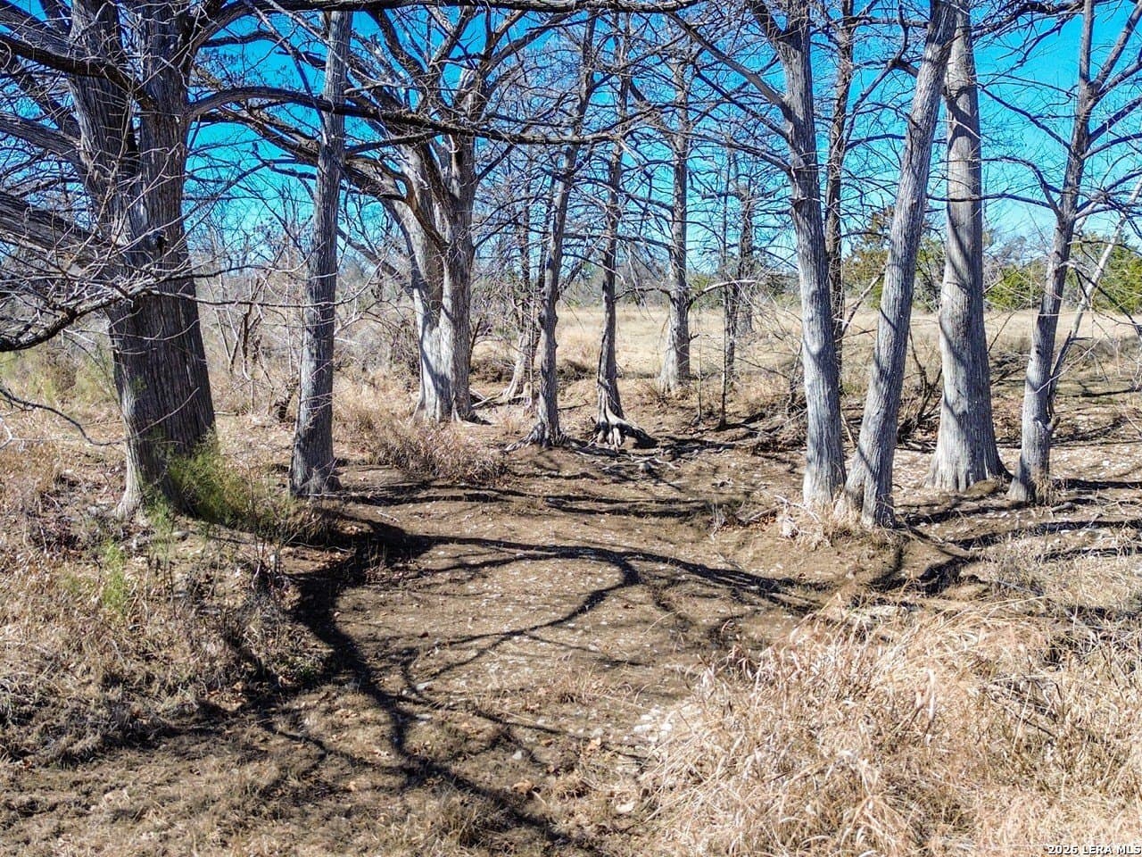 63.66 acres in Blanco County - photo 29