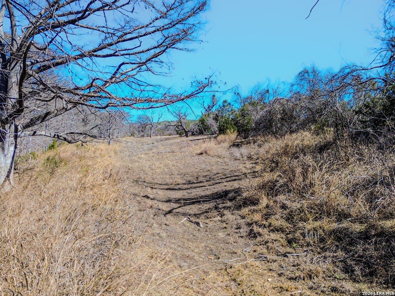 63.66 acres in Blanco County - photo 27