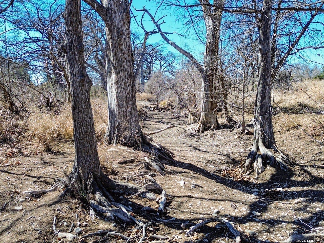 63.66 acres in Blanco County - photo 20