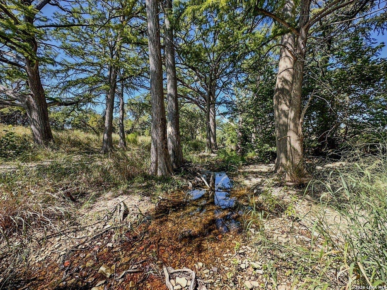 63.66 acres in Blanco County - photo 9