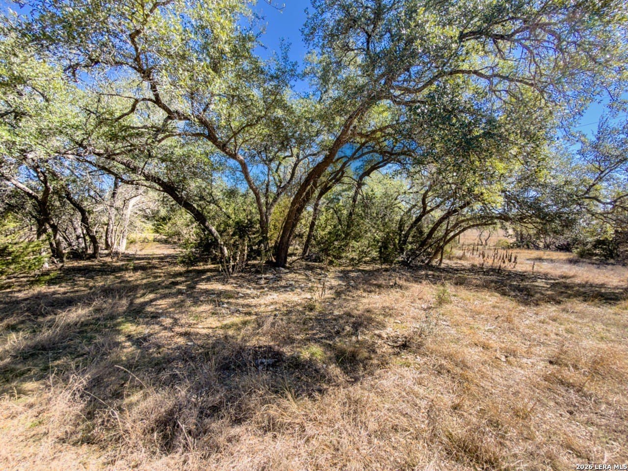 63.66 acres in Blanco County - photo 19