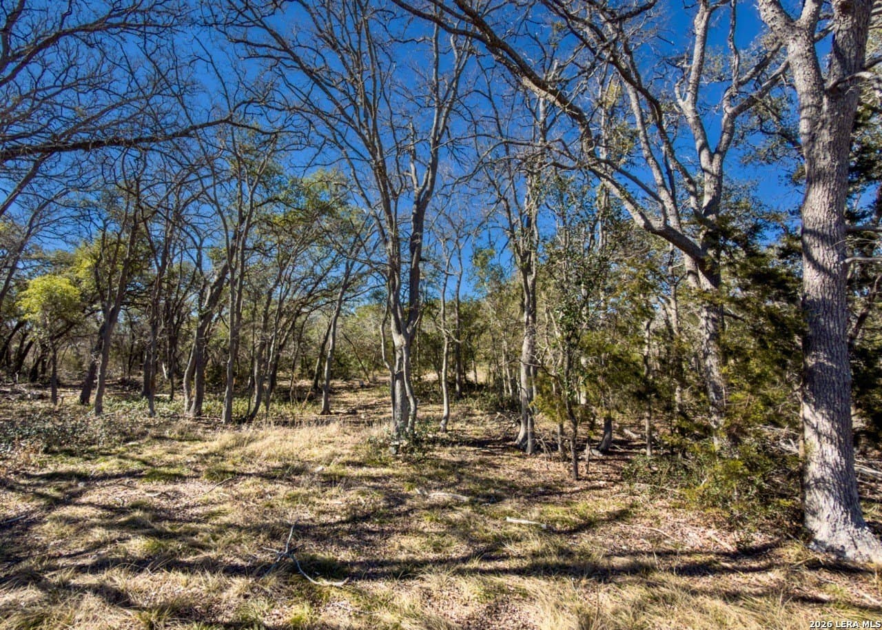 63.66 acres in Blanco County - photo 8