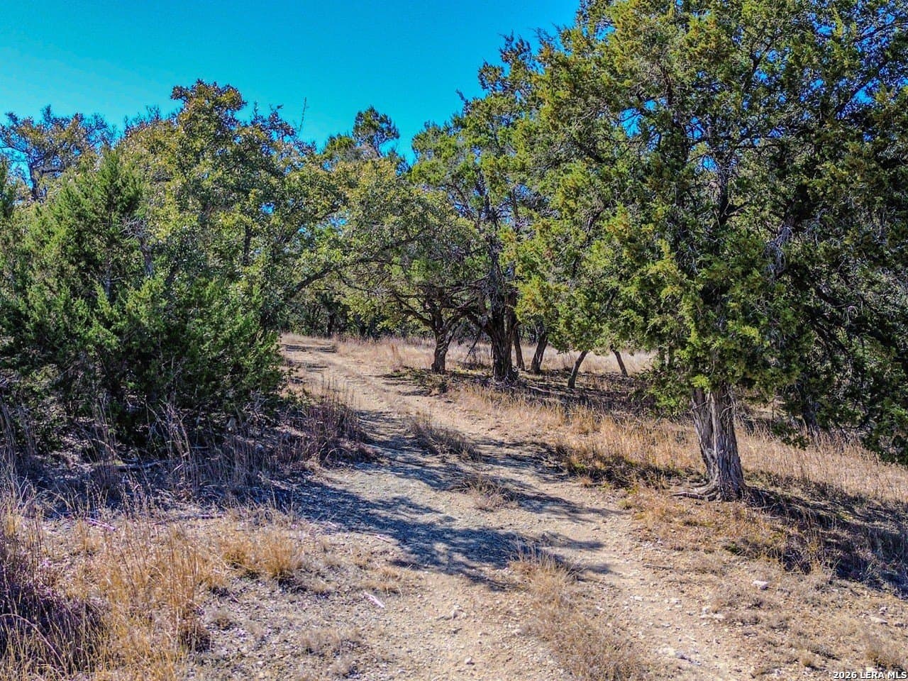 63.66 acres in Blanco County - photo 22