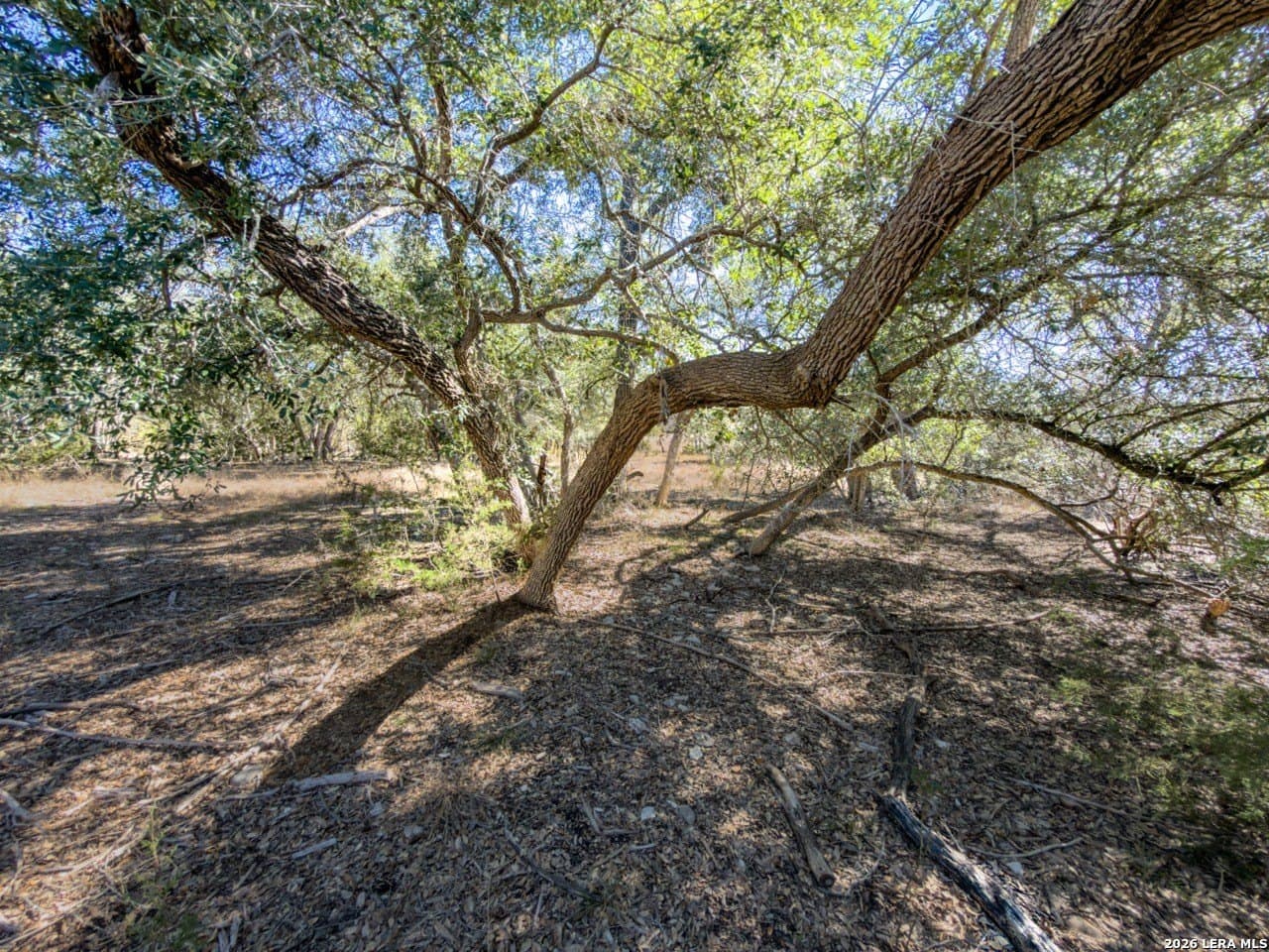 63.66 acres in Blanco County - photo 17