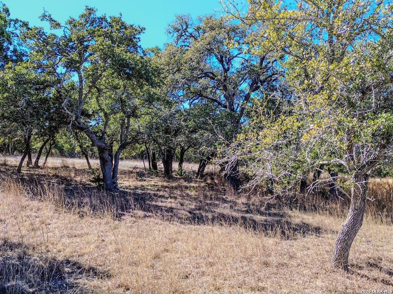 63.66 acres in Blanco County - photo 16