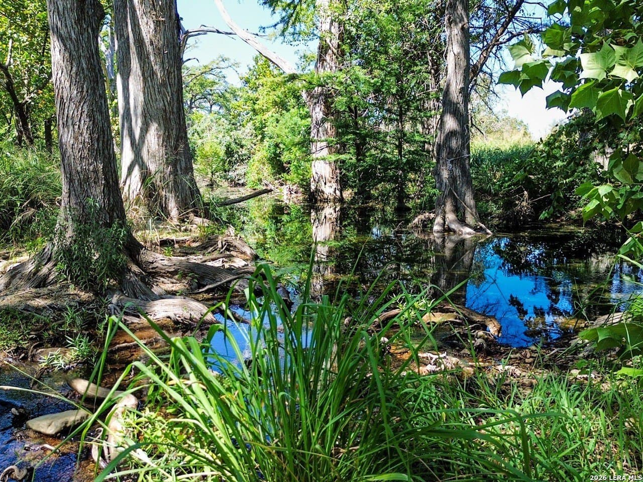 63.66 acres in Blanco County - photo 12