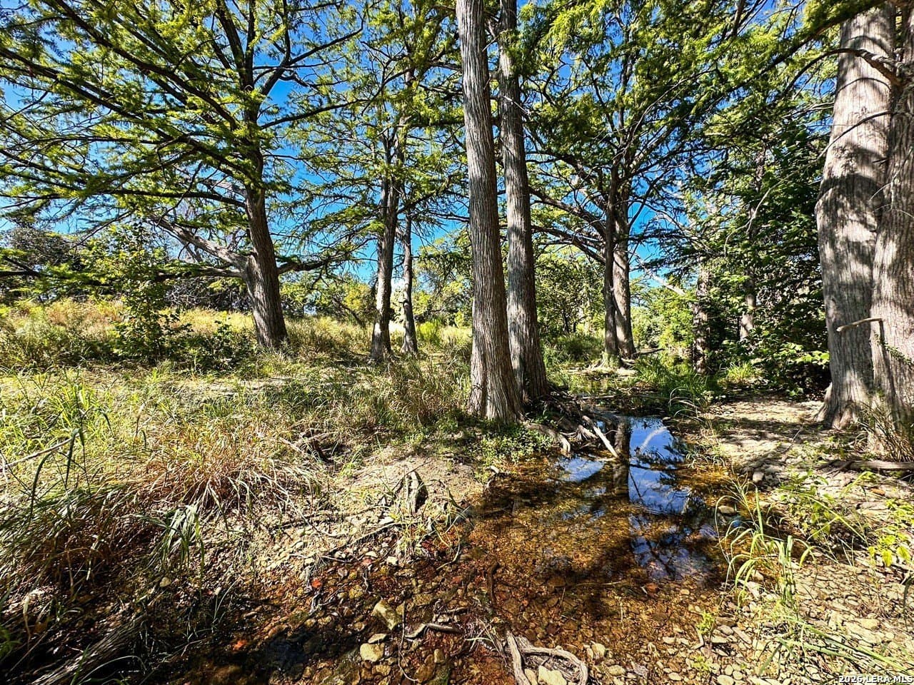 63.66 acres in Blanco County - photo 6