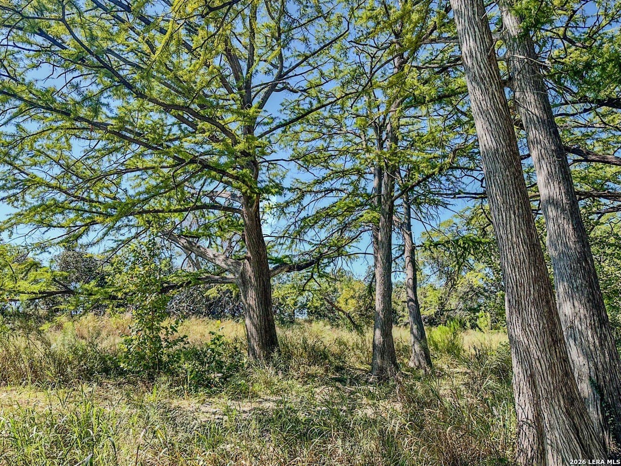 63.66 acres in Blanco County gallery image 2