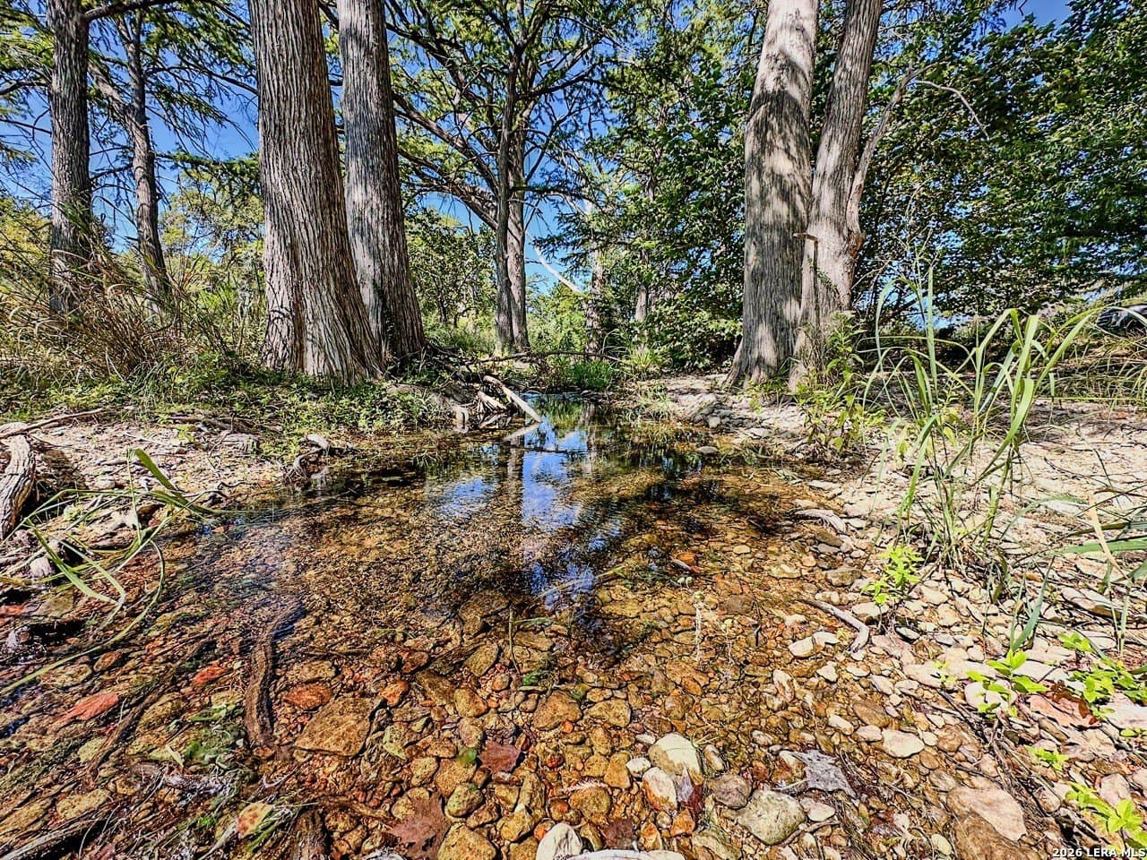 63.66 acres in Blanco County gallery image 3